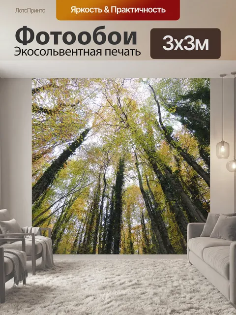 Фотообои Лес