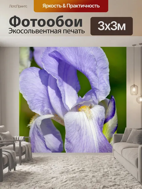 Фотообои Пейзаж