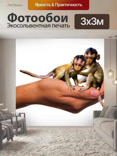 Фотообои Эмоции