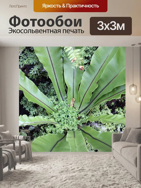 Фотообои состояние растений