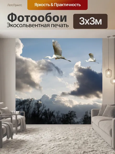Фотообои Цапля