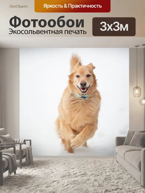 Фотообои Собака