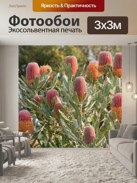 Фотообои Цветы