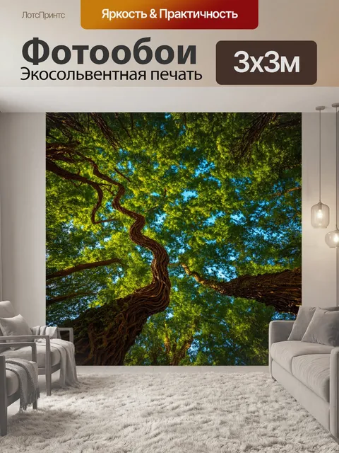 Фотообои с кривыми деревьями, создающими причудливый эффект