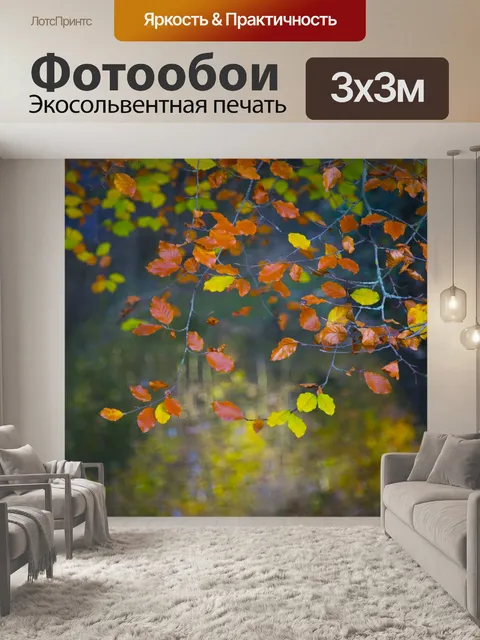 Фотообои Осенние листья