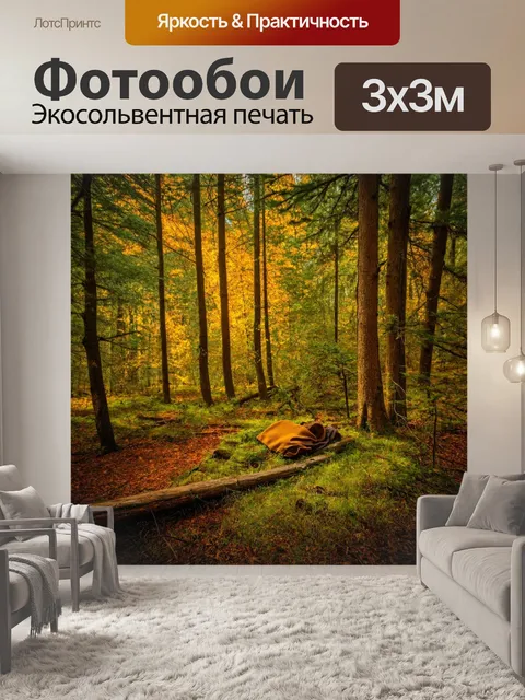 Фотообои лес с тёплыми оттенками и уютным местом для отдыха