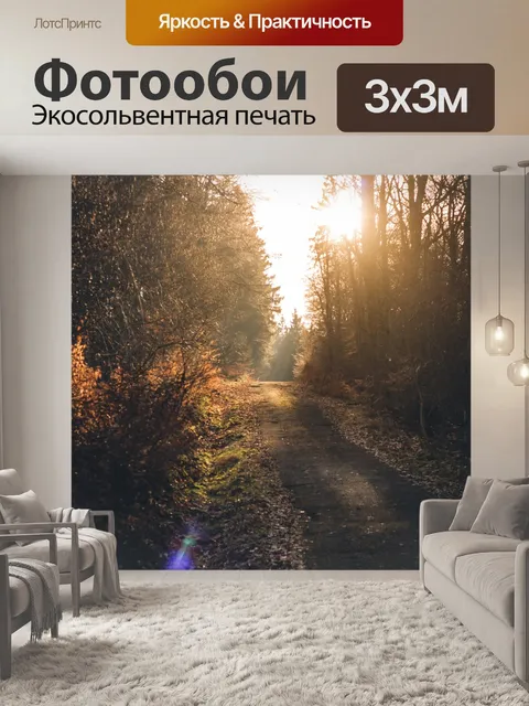 Фотообои Лес