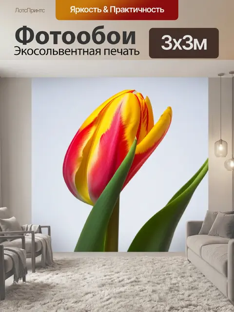 Фотообои модернистская композиция с тюльпановой луковицей
