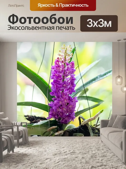 Фотообои Цветок орхидеи
