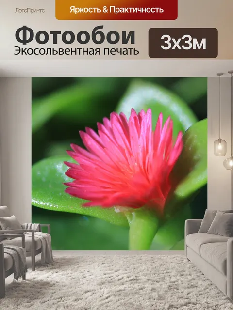 Фотообои Цветок