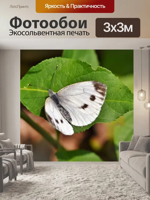 Фотообои Белый