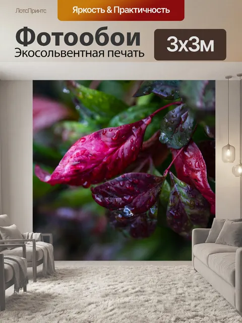 Фотообои Влажные красные и зеленые листья