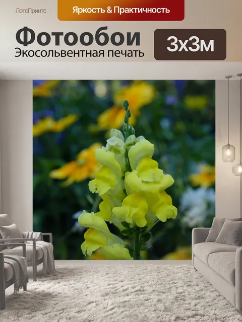 Фотообои Цветы