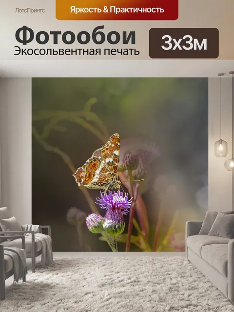 Фотообои Бабочка