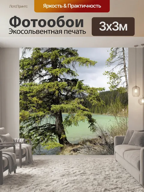 Фотообои Ель озеро дерево