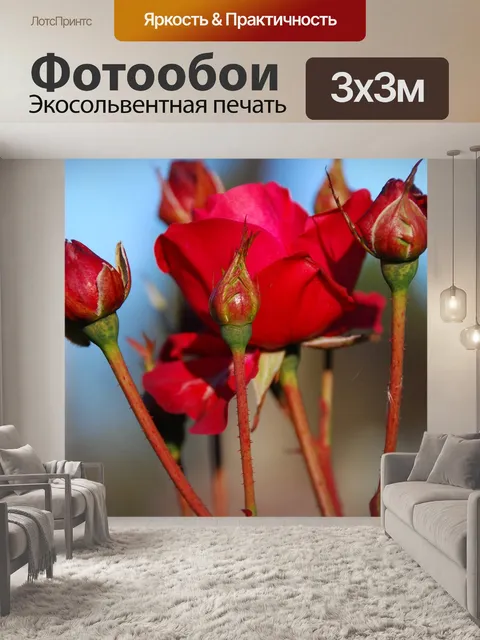 Фотообои Рось