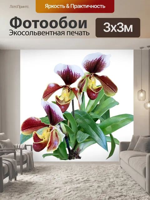 Фотообои Цветы