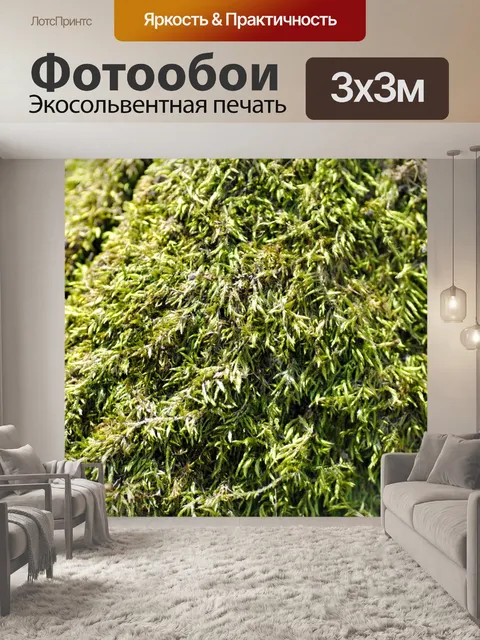 Фотообои Мох