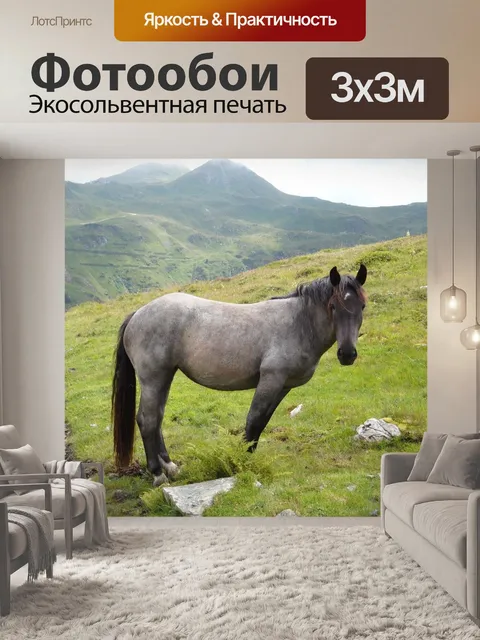 Фотообои Лошадь