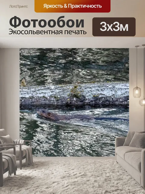 Фотообои Животные
