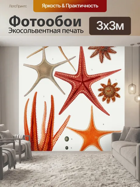 Фотообои Морская звезда Средиземноморье Винтаж ст
