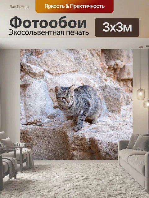 Фотообои Кошка
