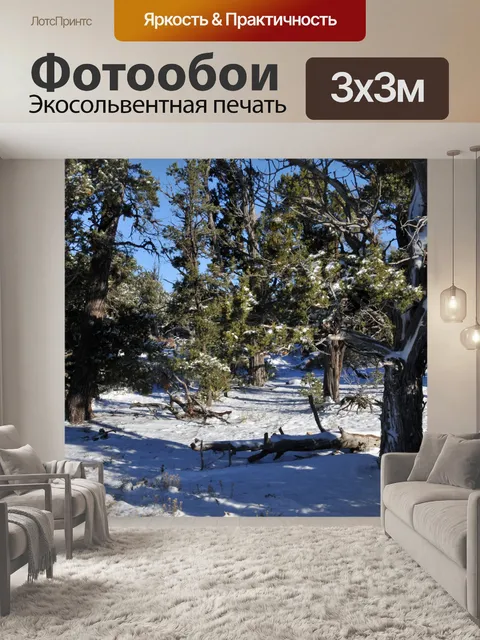 Фотообои Снежный пейзаж