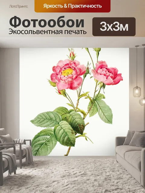 Фотообои Нарисованный цветок розы
