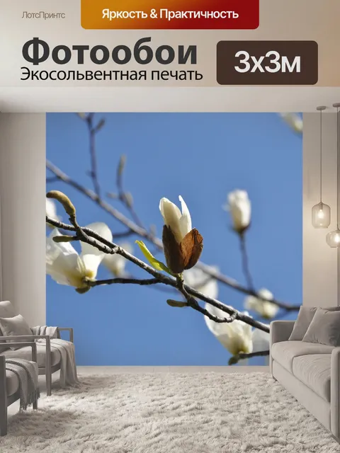 Фотообои Расцветает