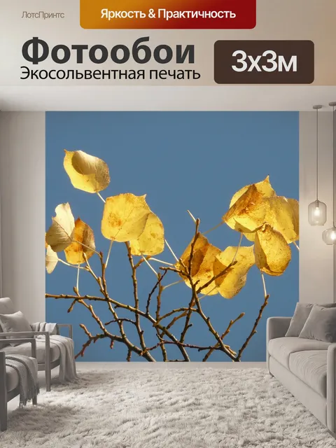 Фотообои Листья