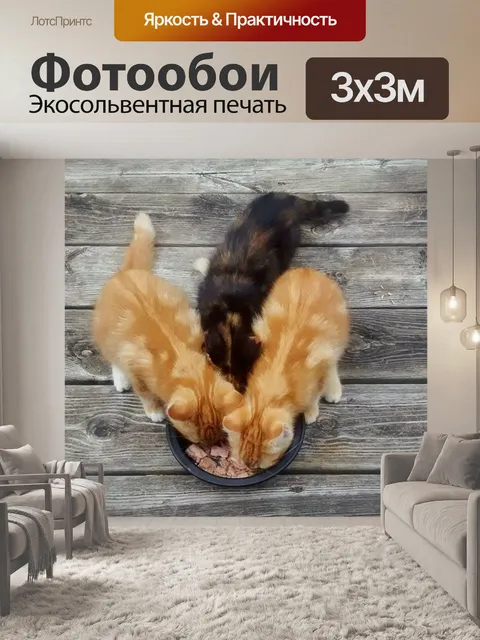 Фотообои Котята