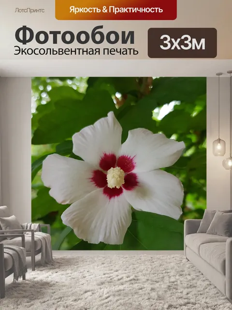 Фотообои Цветок