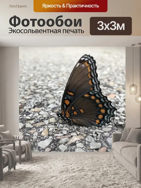 Фотообои Бабочка