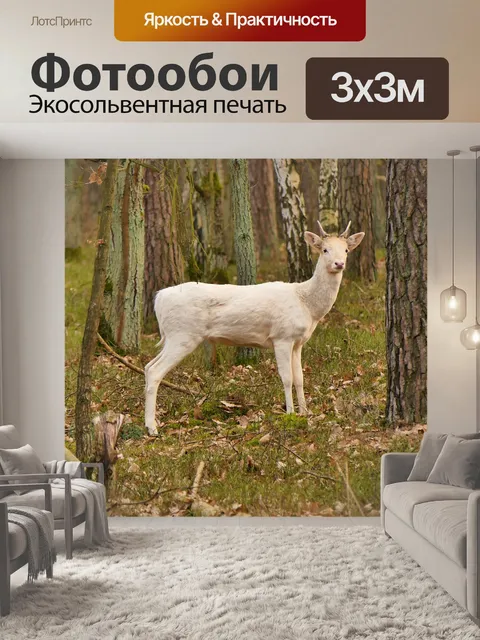 Фотообои Олень