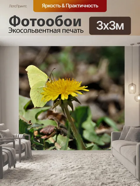 Фотообои Одуванчик