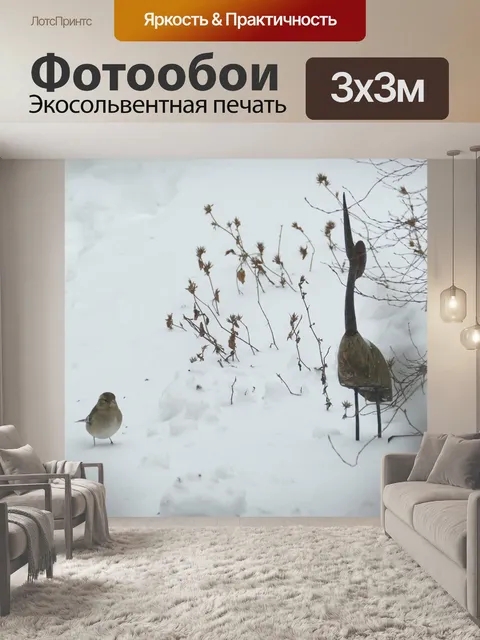 Фотообои Птица