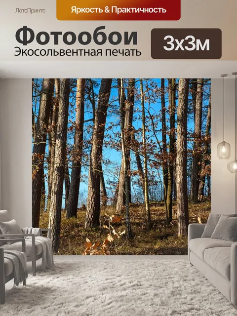 Фотообои Деревья