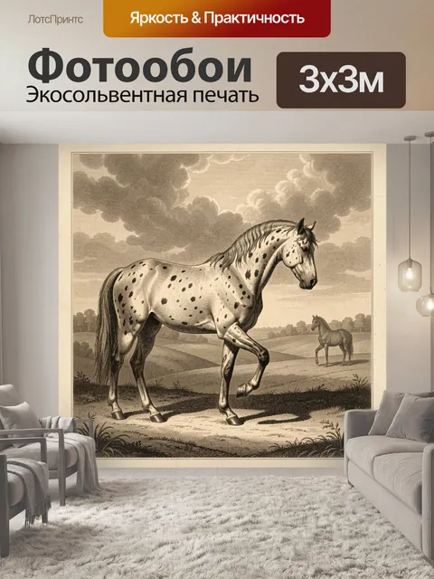 Фотообои Пятнистая лошадь в поле
