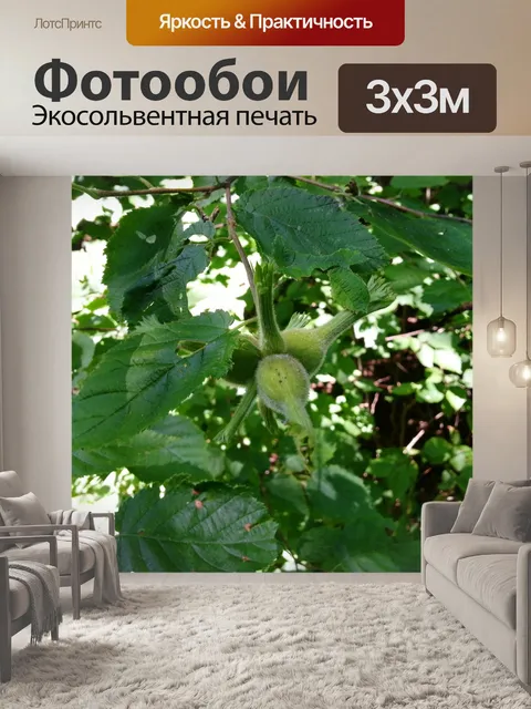 Фотообои Желто-коричневый Буша