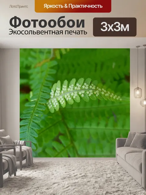 Фотообои Папоротник