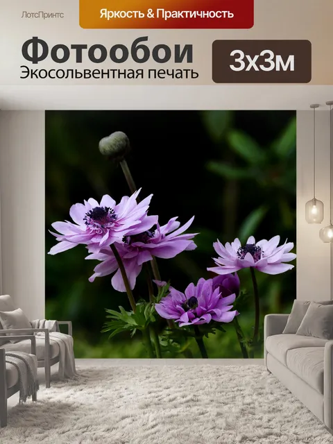 Фотообои Anemone Flowers Purple