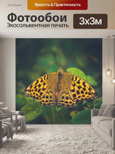 Фотообои Бабочка