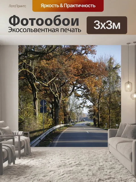 Фотообои Дорога