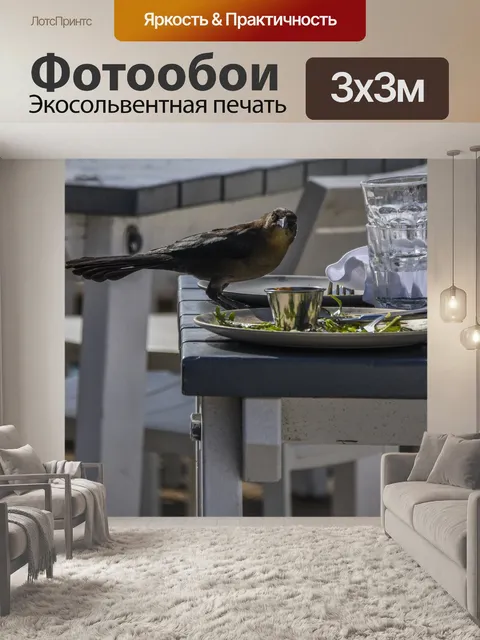 Фотообои Птица на заброшенном обеденном столе