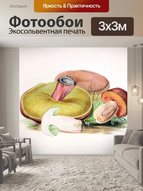 Фотообои Грибы винтаж арт старый