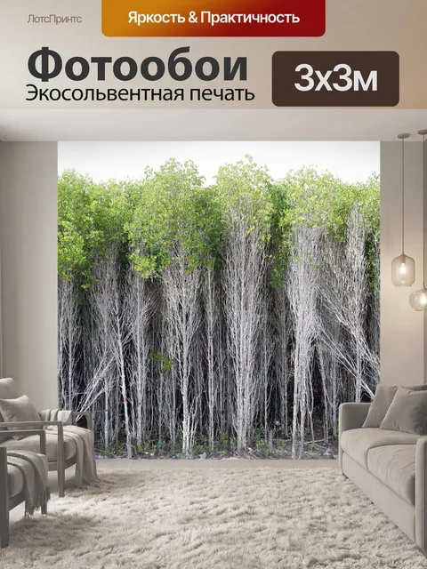 Фотообои Лес