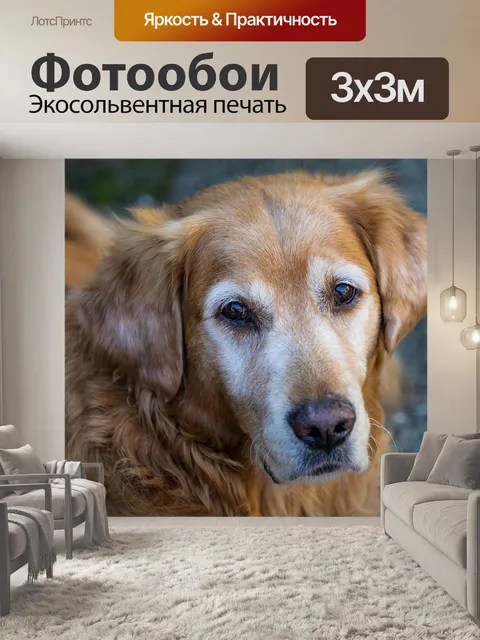 Фотообои Животное
