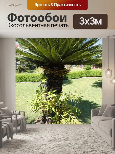 Фотообои Мой старый Cycas дерево и цветок орхидеи