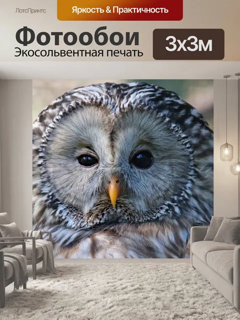 Фотообои Сова