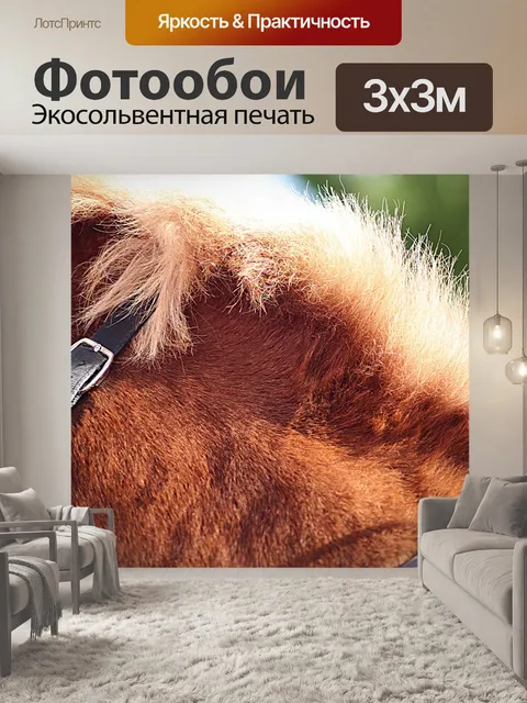 Фотообои Лошадь